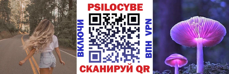 Купить  Томилино  Псилоцибиновые грибы мицелий 